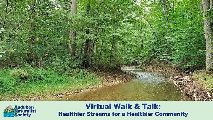 Virtual Walk & Talk: Healthier Streams for a Healt...