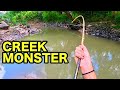 70 lb monster in a tiny creek insane