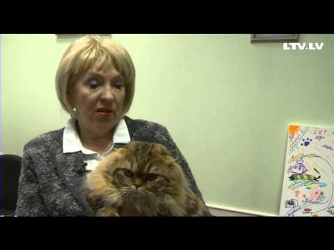Video: Lielākā Kaķu šķirne