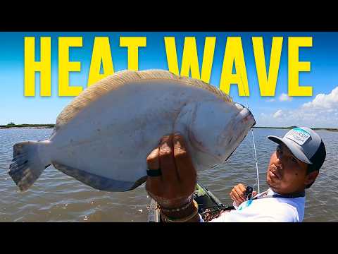 Do Fish Bite In Summer Extreme Heat? + Hot & Spicy Catch & Cook!
