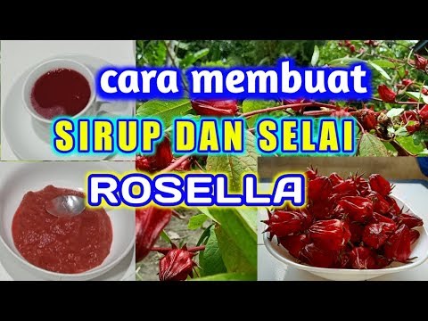 Resep Jamu Rosella
