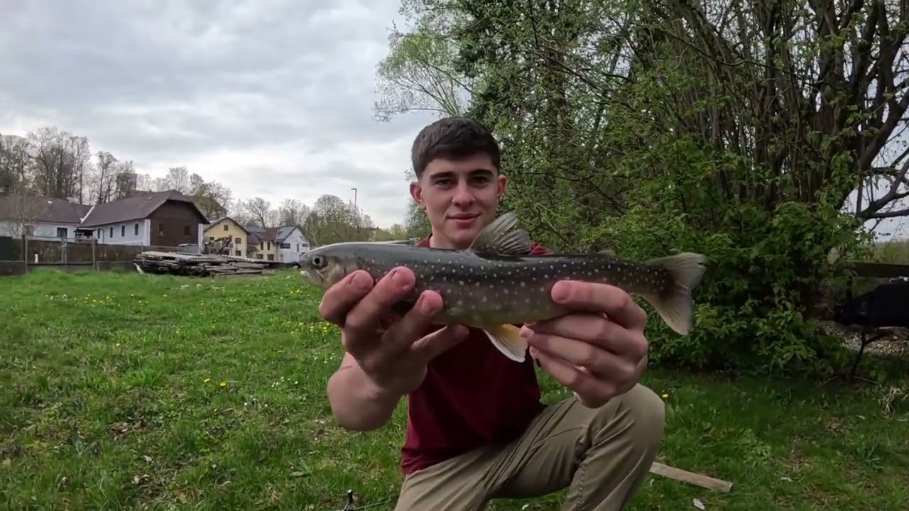 Forellenangeln am Bach