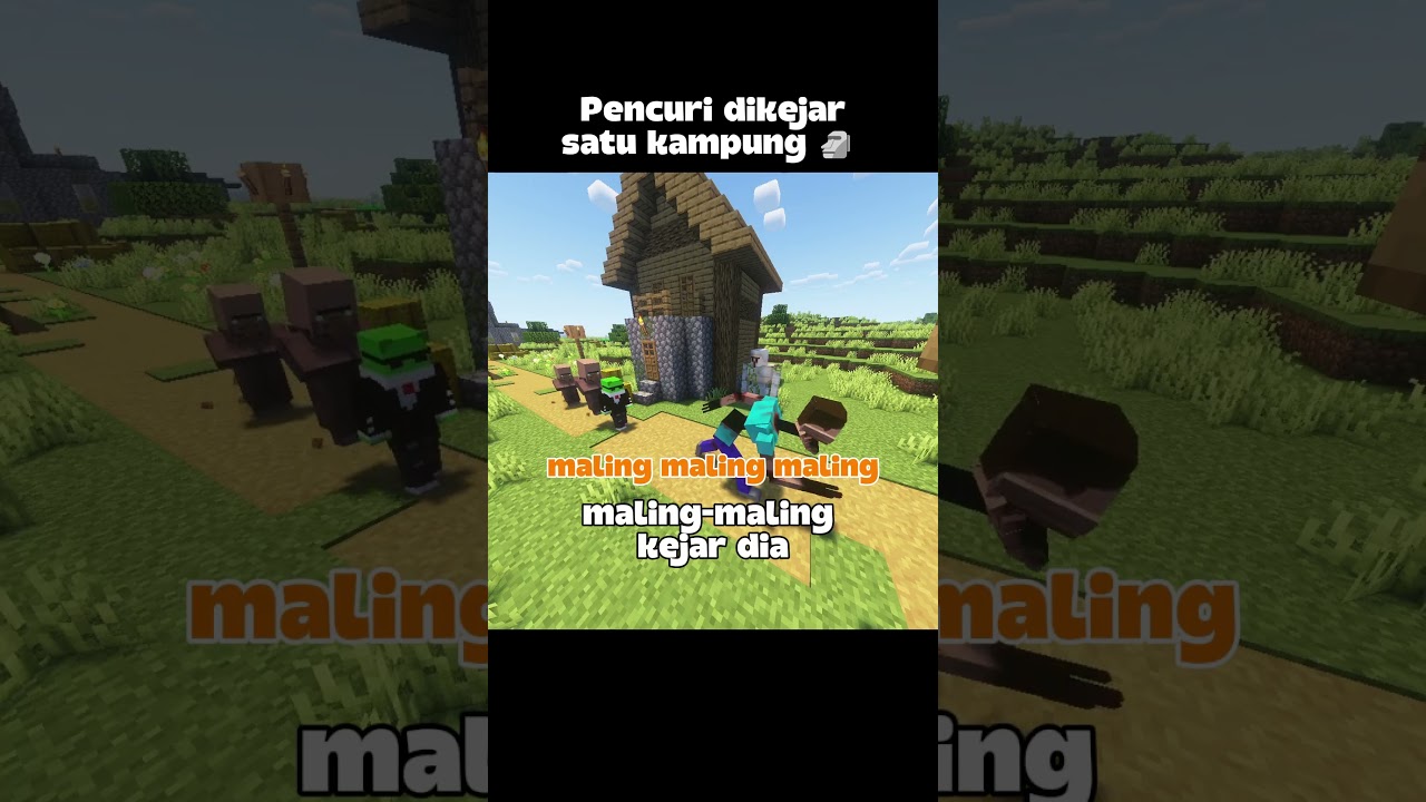 Minecraft Meme