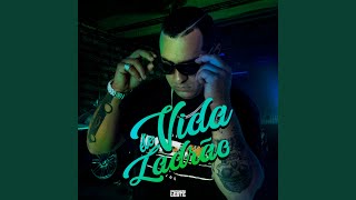 Vida de Ladrão