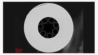 Hollow-Core Photonic Crystal Fibers Hc-Pcfs