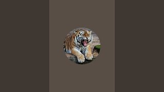 i am uploading bubble shooting screenshot 1