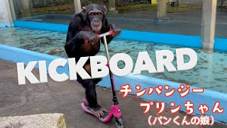 パンくん Do you remember the chimpanzee Purin-chan (Pan-kun's daughter