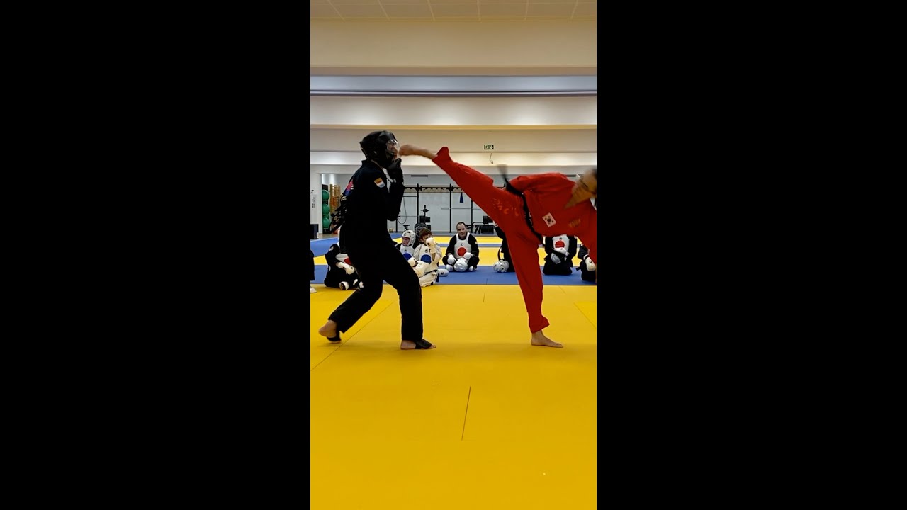 Using Lead Leg to Counter by Hwa Rang Do® Grandmaster Taejoon Lee