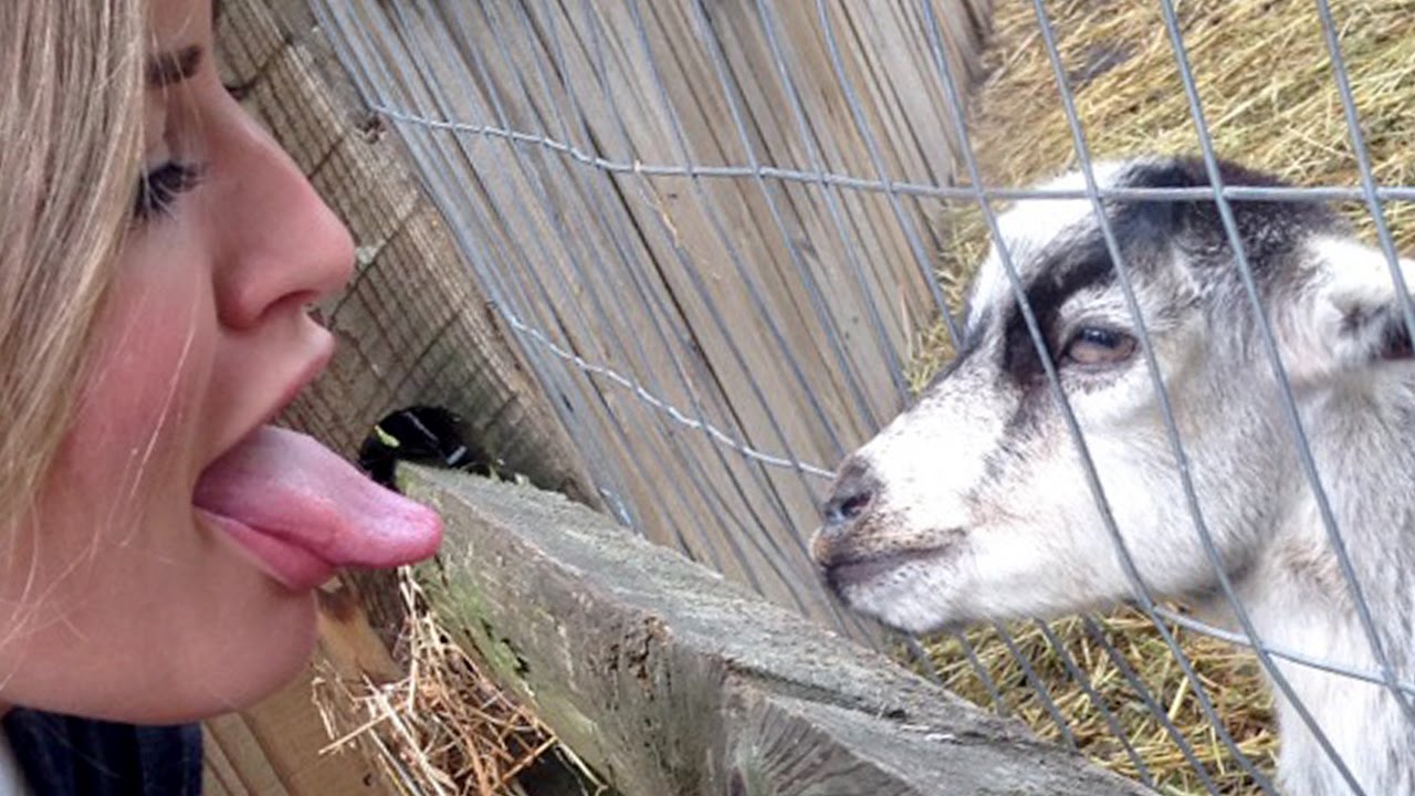GOAT TONGUE! | iJustine - YouTube