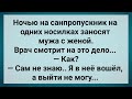 Муж с Женой на Одних Носилках на Санпропускнике! Сборник Свежих Анекдотов! Юмор!