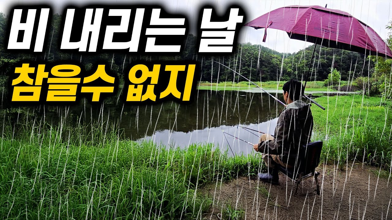 빗속을 뚫고, 청정지역 횡성에서 보낸 하루