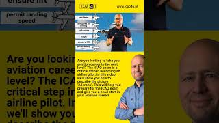 Photograph description examination stage: Ailerons