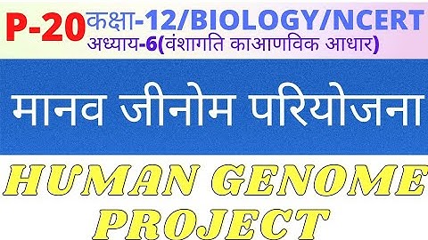 कक्षा-12/अध्याय-6/P-20/मानव जीनोम परियोजना/ human genome project (HGP) Complete