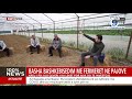 Basha Shpejgon Skemen E Subvencioneve Ne Bujqesi Basha Shpejgon Skemen E Subvencioneve Ne Bujqesi