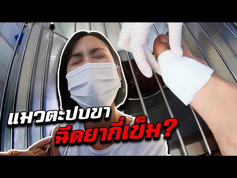 แมวตะปบขา ต้องฉีดยากี่เข็ม? | Injections After Getting Scratched by A Cat