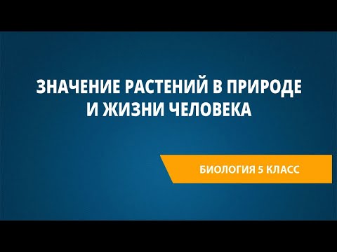 Значение растений в природе и жизни человека