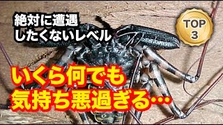 鳥肌 世界一気持ち悪い虫ランキング 異様な姿をご覧あれ Youtube