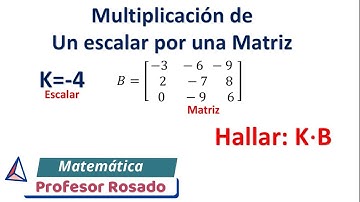 MULTIPLICACIÓN DE UN ESCALAR POR UNA MATRIZ / K•B