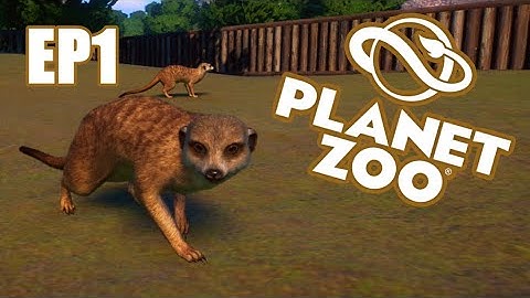 NEW SANDBOX ZOO| Planet Zoo Sandbox Mode EP1