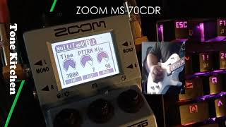 Zoom MS70CDR Multi Tap Delay Demo mp4