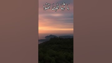 حالات واتس أب قرآن ( سورة الأحزاب) اسلام صبحي ( إن الله وملائكته يصلون على النبي) | الكلم الطيب