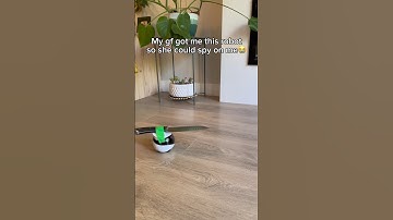 My girlfriend is a tiny robot 😭💕 #robot #longdistance #couples