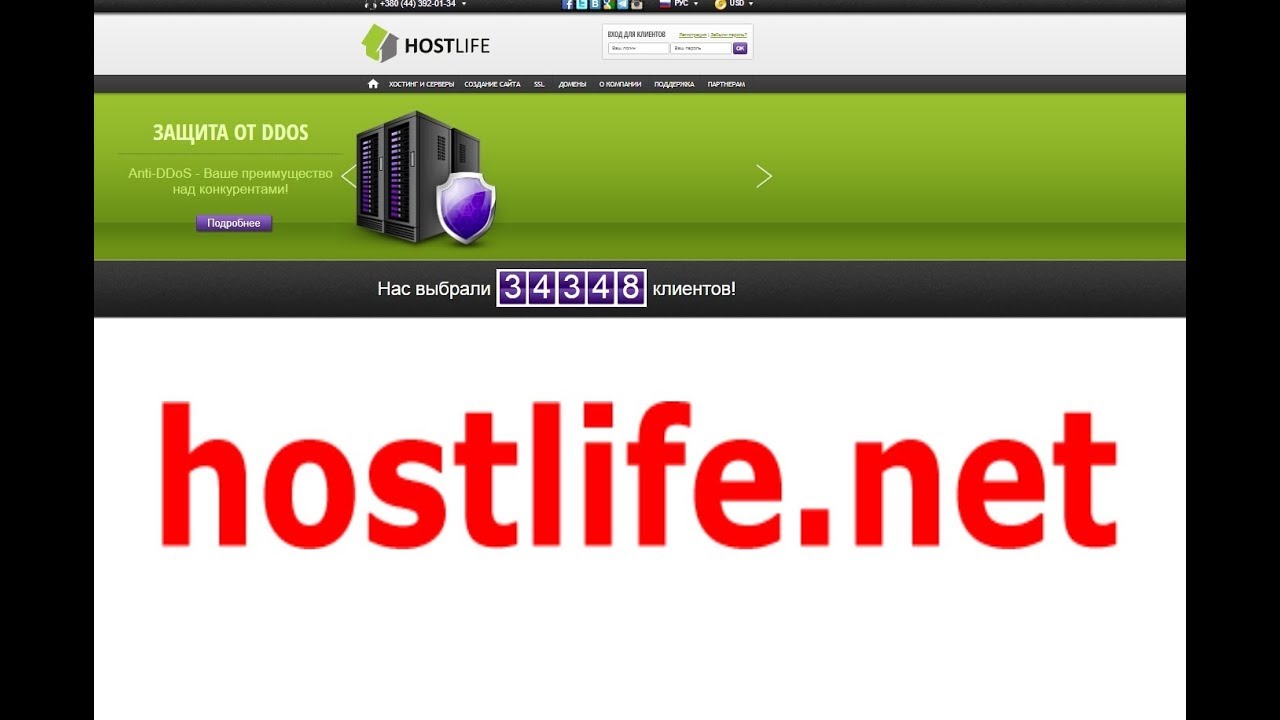 Обзор хостинга hostlife.net