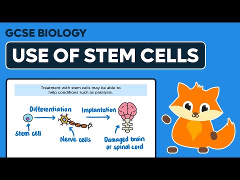 Use of Stem