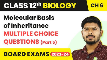 Molecular Basis of Inheritance - Multiple Choice Questions (Part 5) | Class 12 Biology Chapter 5