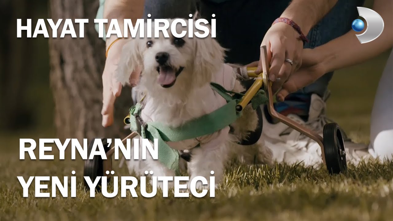 Hayat Tamircisi Reyna'ya Yeni Yürüteç Yaptı - Hayat Tamircisi 11.Bölüm