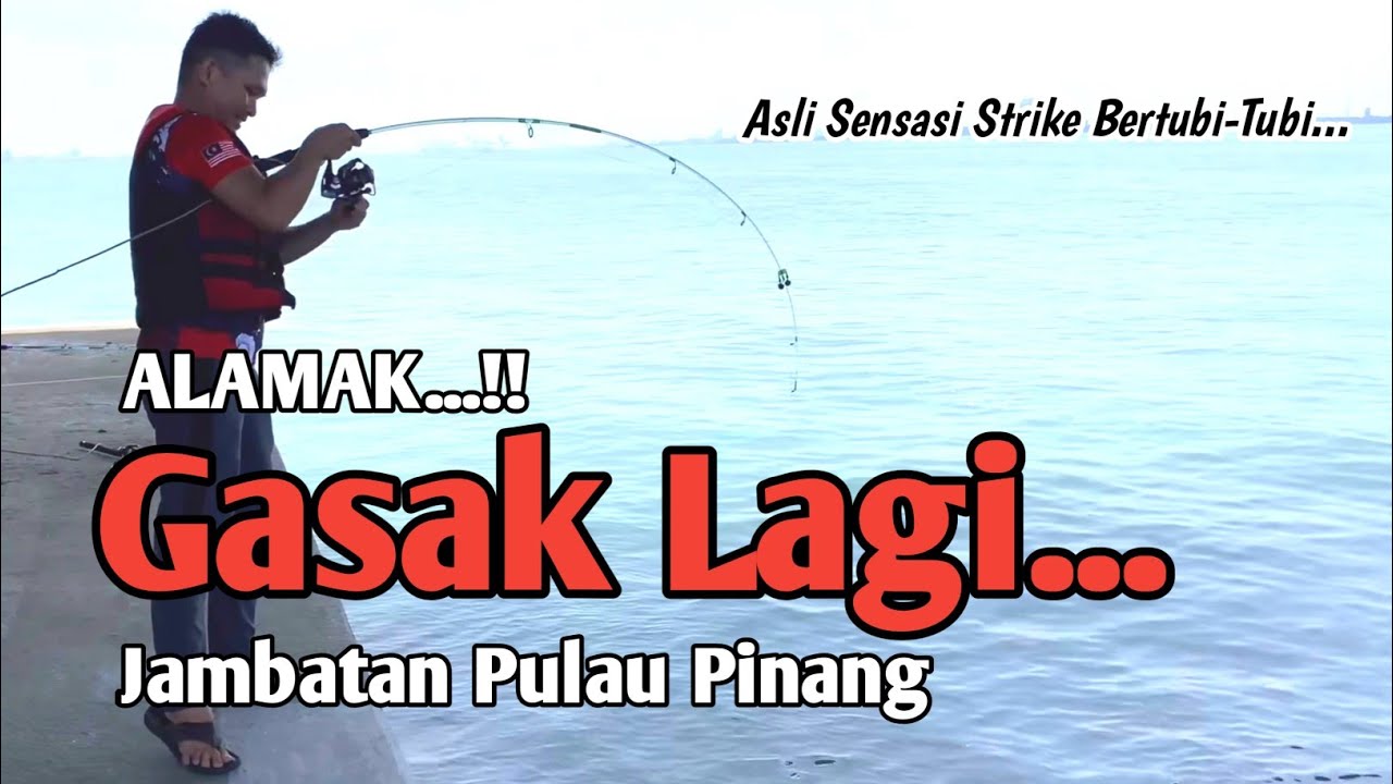 GASAK LAGI SPESIS KARANG || Mancing Jambatan Pulau Pinang