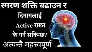 Nepali Health And Education Tips दिमागलाई Active राख्न के गर्ने अत्यन्तै महत्त्वपूर्ण जानकारी