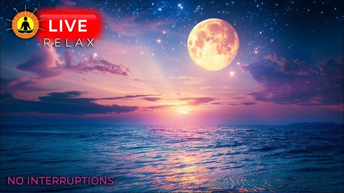 Relaxing Sleep Music