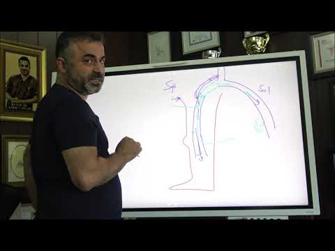 Yürürken bacakta oluşan bacak / baldır ağrısı ve Kladikasyo - Prof. Dr. Ahmet AKGÜL