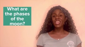 Cycle 2 Science week 11