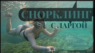 картинка: Плаванье с Нерпой : подводное приключение в Хасанском районе , Приморье