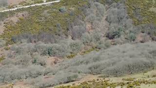 Lee moor drone footage