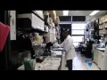 Ebola epidemic overshadowing fight against