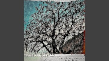 its clear youre not true (demo)