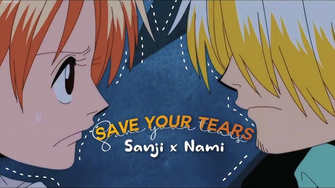 Sanji and Nami - Awake 