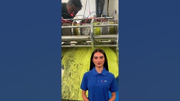 Chinese Manufacturers Lead the Way: Experience Our Innovative and High-Quality Oil Press Machines