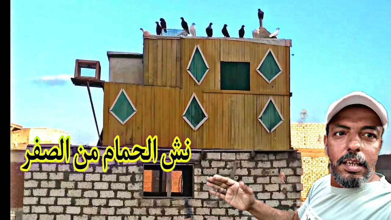 نش الزغاليل اول يوم تفتيح الزغاليل (الحلقه التانيه)نش الزغاليل🕊️