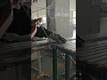 Steel lining process of plastic steel profile processing #pinshi #upvc #fyp