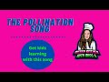 The Pollination Song Educationalsong