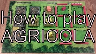 How to play Agricola