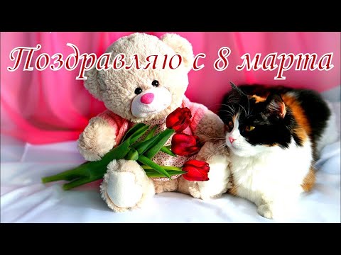 Поздравляю с 8 марта!