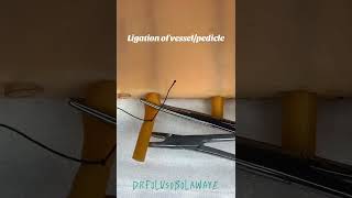 Transfixing suture for ligation or securing vessel or pedicle  #vetstudent #vetschool #ligature