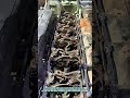 Diesel Engine for Driving Valves in Cylinder Systems- Satisfying jobs and machinery in the world