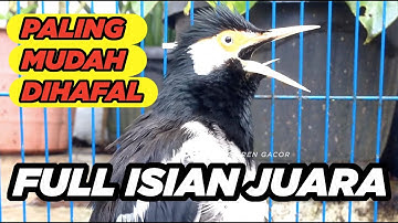 SUARA JALAK SUREN GACOR MOMPA FULL ISIAN MASTERAN LENGKAP AMPUH untuk PANCING JALAK AGAR CEPAT GACOR