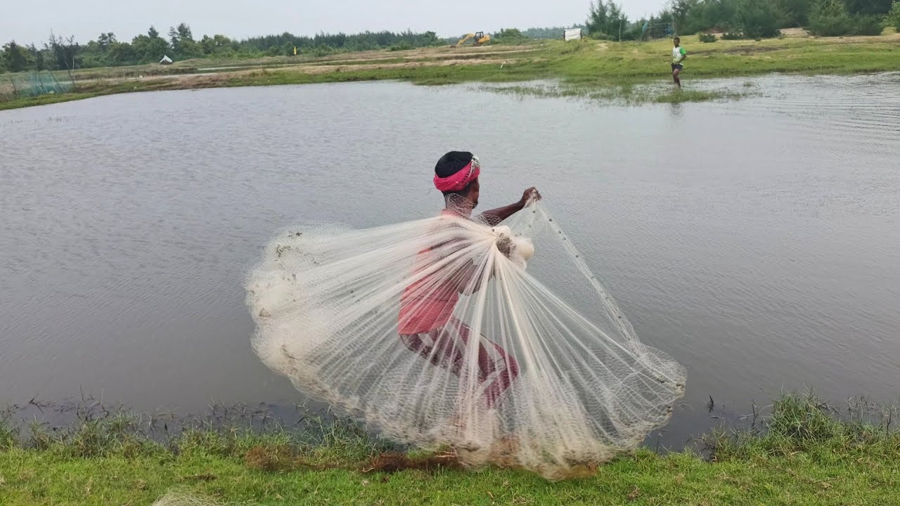 Fishing Net Video - Traditional Net Fishing Village in River With Beautiful Natural 